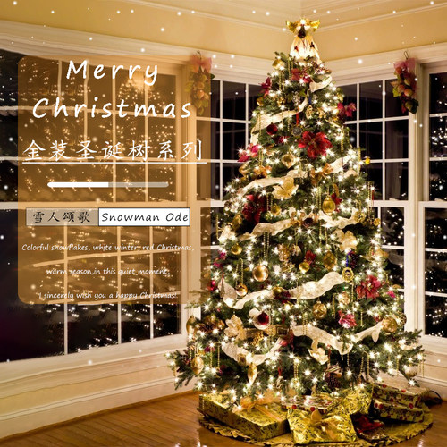 圣诞节豪华套餐场景布置圣诞树