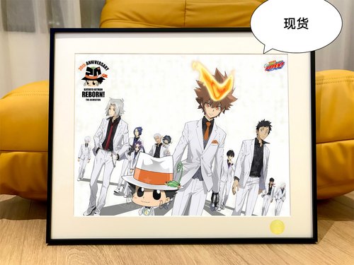 家庭教师20周年彭格列泽田纲吉六道骸HITMAN REBORN里包恩装饰画