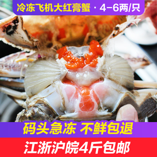舟山野生大红膏蟹冷冻梭子蟹海鲜水产特大海蟹海螃蟹全母1斤