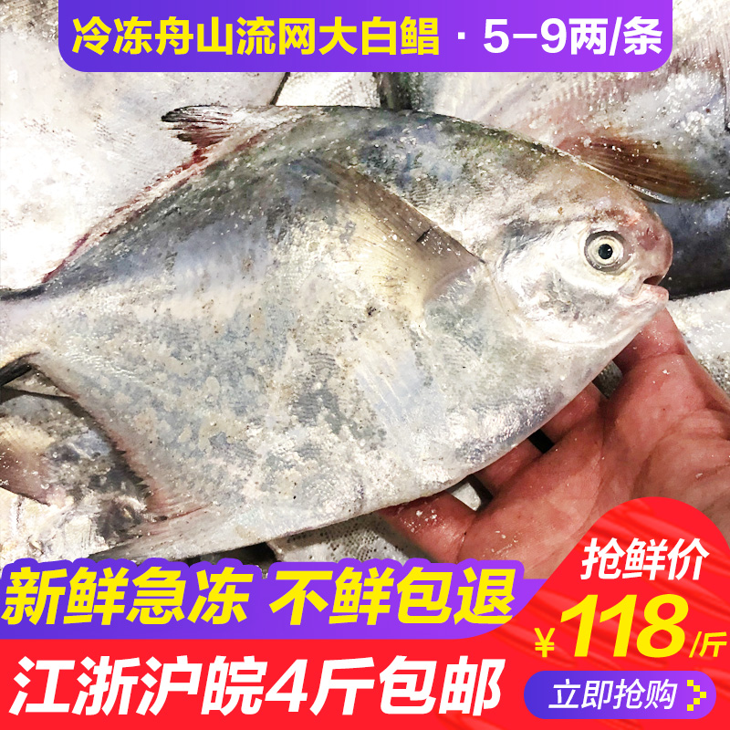 舟山大白鲳鱼新鲜冷冻流网特大银鲳鱼海鱼海鲜水产 3斤起拍-封面