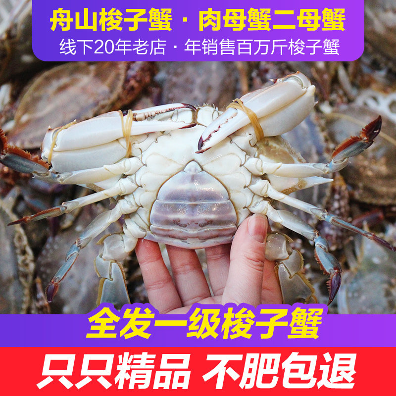 舟山梭子蟹二母蟹肉母蟹图片