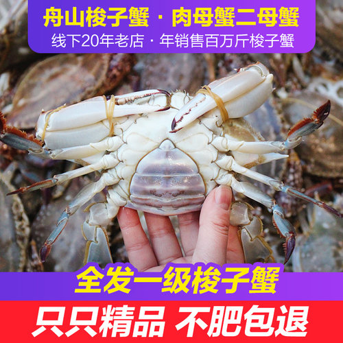 舟山梭子蟹二母蟹肉母蟹