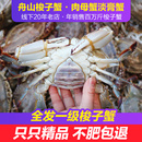 优选舟山梭子蟹2斤起新鲜肉母蟹淡膏蟹海鲜水产 保鲜不保活