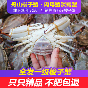 优选舟山梭子蟹2斤起新鲜肉母蟹淡膏蟹海鲜水产 保鲜不保活
