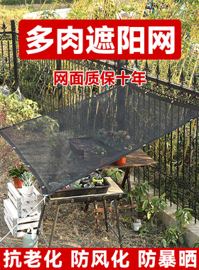 圆丝黑色多肉植物专用遮阳网防晒网遮光网遮阴太阳网家用窗户阳台