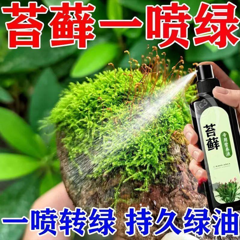 分销代发苔藓专用营养液盆景绿植青苔通用防枯黄果蔬花卉保鲜剂