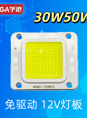 观意路灯太阳能灯3V 12V免驱动电瓶灯灯芯30W50W集成LED投光灯板