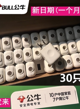 30只1盒公牛两脚插头10A电线二头接线两孔两角项电源2极10L1G多用
