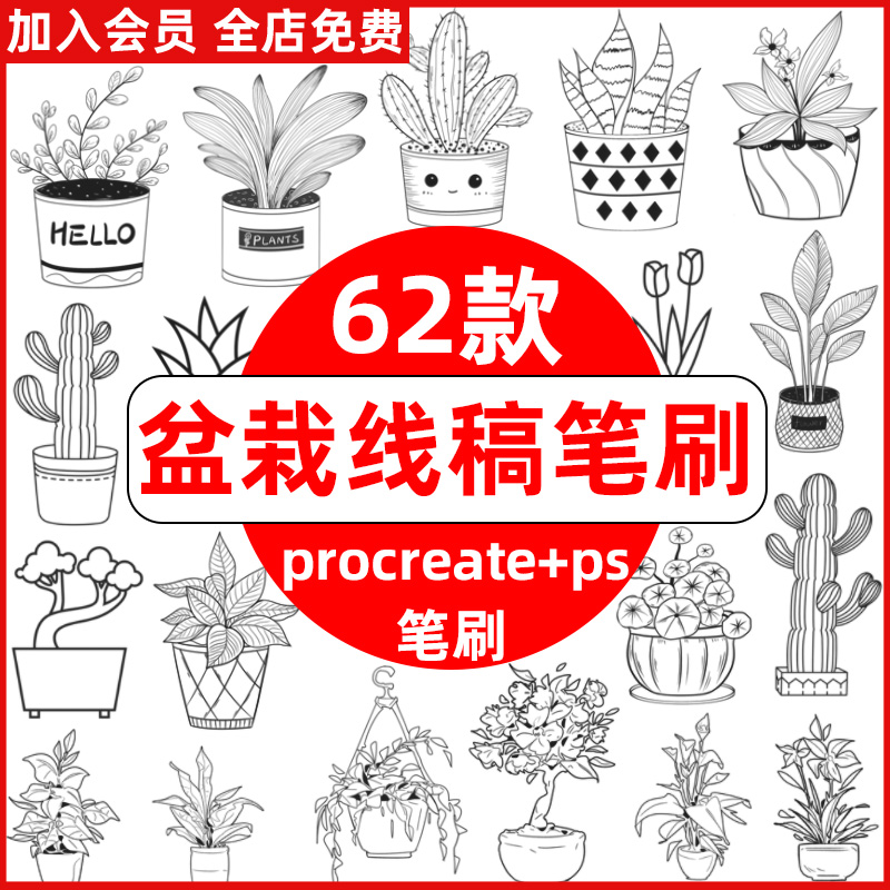 ps笔刷procreate盆栽植物绿植简笔画手绘盆景插画线描临摹上色