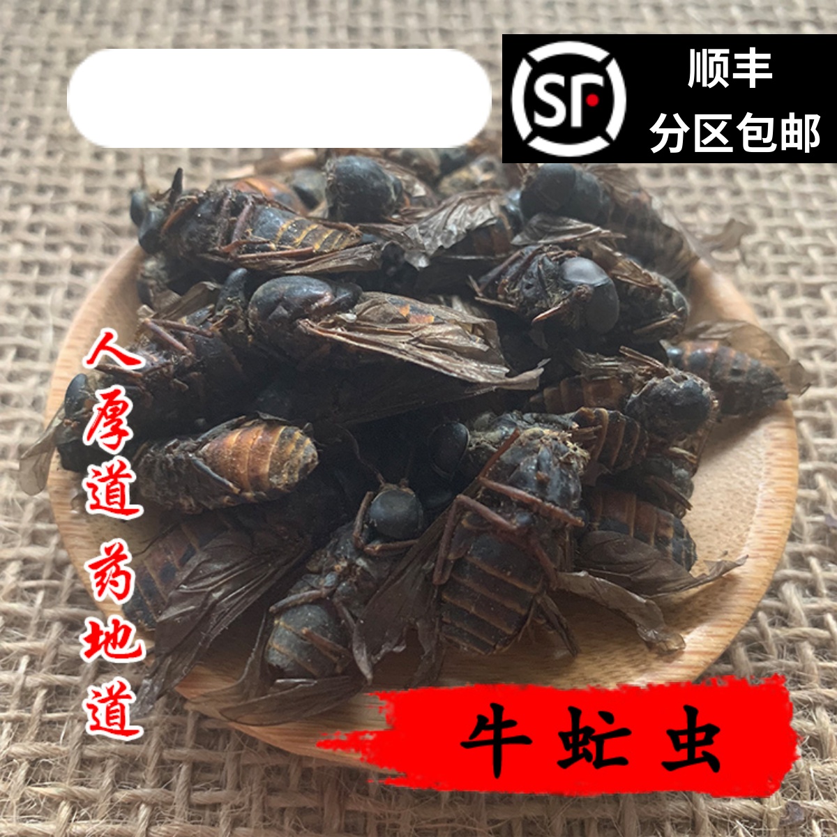 精选 中药材 虻虫  牛虻虫 牛牤虫 50g 可打粉 满包邮
