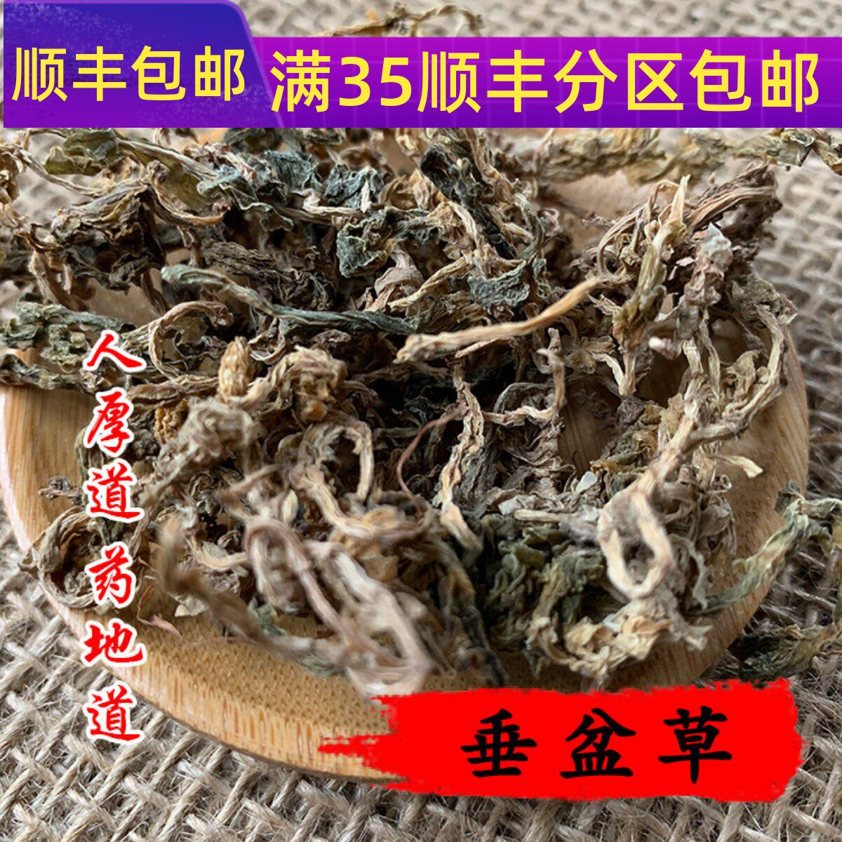 精选 中药材 垂盆草 老鼠芽 50g 可打粉 满包邮
