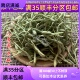 金银花 包邮 同仁堂质量 可打粉 二花 茶 满 双花 中药材 50g