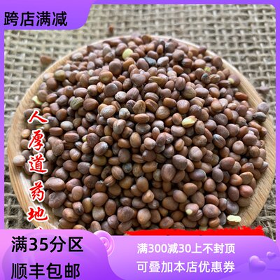 50g莱菔子可打粉满包邮