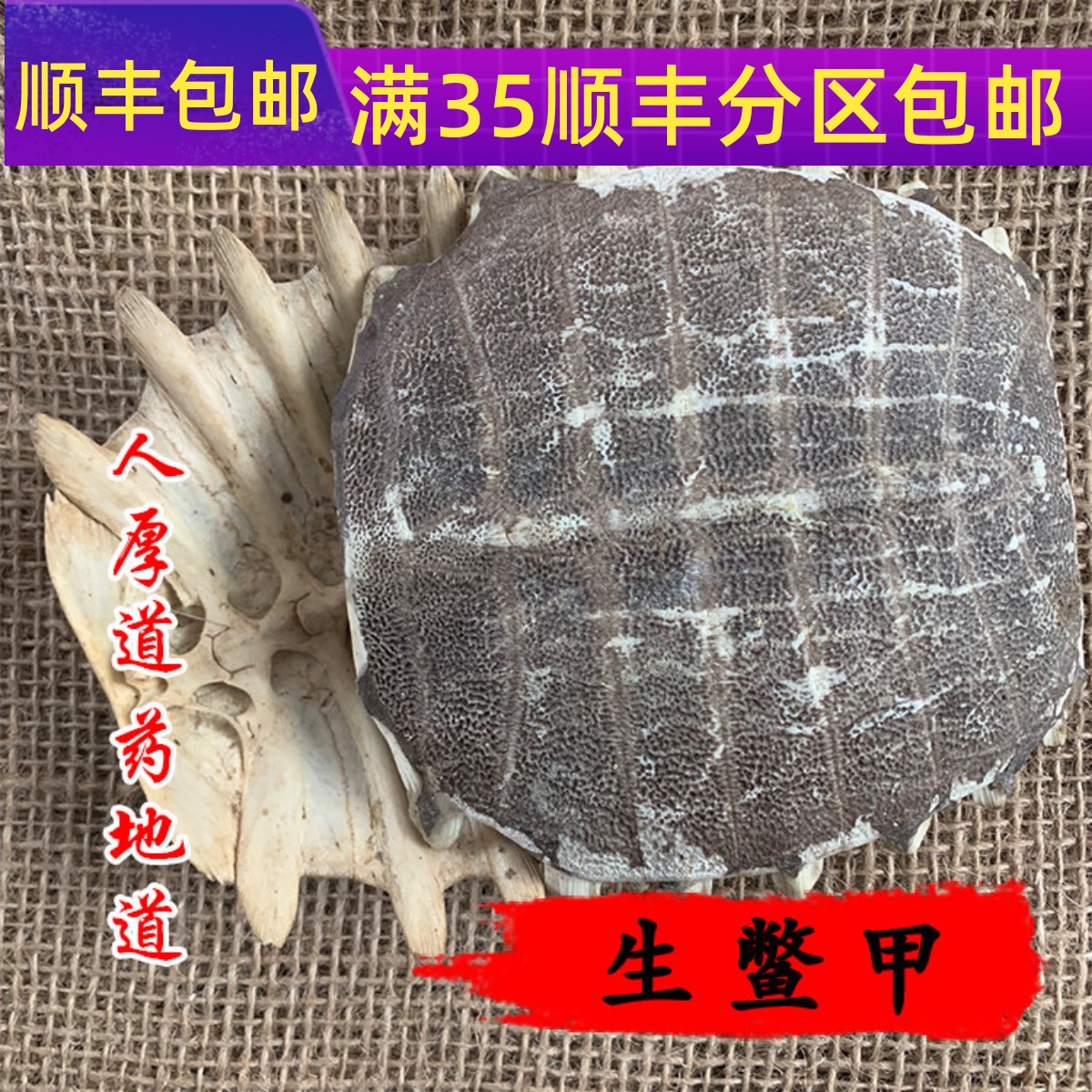 100g鳖甲整个可打粉满包邮图片