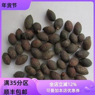 中药材 葵树子 葵树籽 50g 可打粉 无硫熏 满包邮