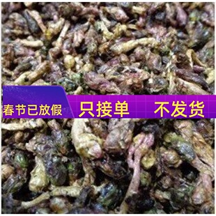 中药材 炙 蜜款冬花 蜜冬花 50g 可打粉 无硫熏满包邮