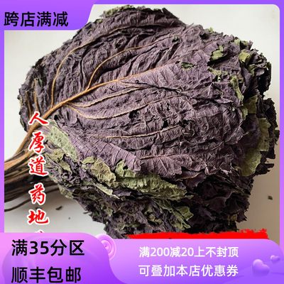 50g紫苏叶可打粉满包邮