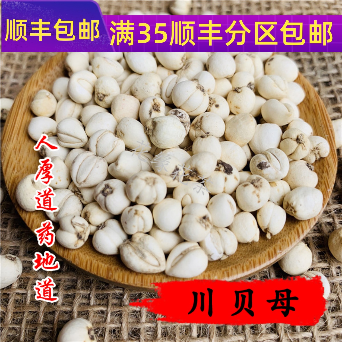 精选中药材正品川贝母米贝母 松贝四川野10g可打粉包邮