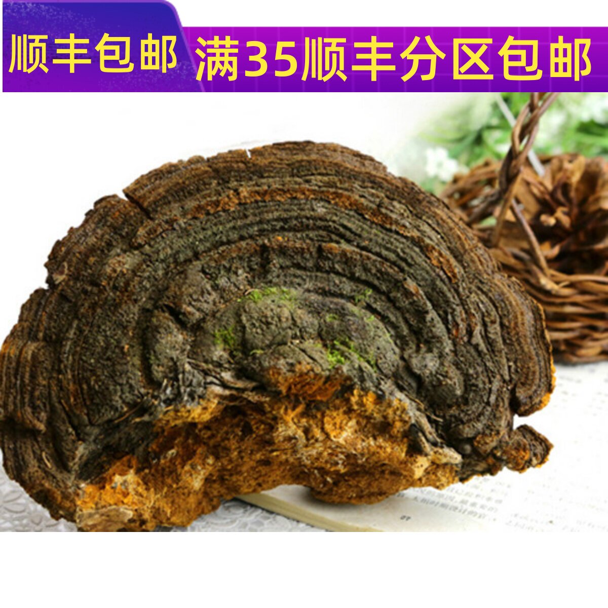 100g桑黄不可打粉满包邮