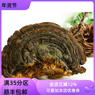 精选 中药材 桑黄 桑臣 100g 不可打粉 满包邮