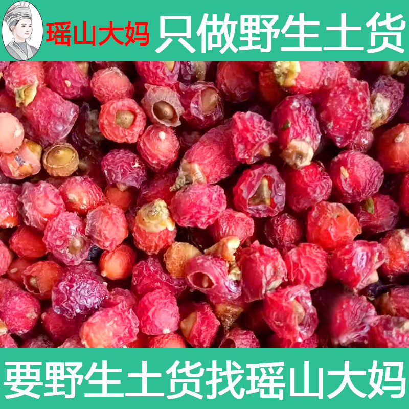 红豆杉果子干果含紫杉醇南方红豆桌面绿植