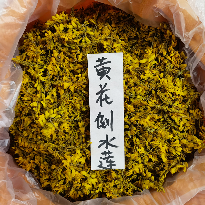 广西金秀黄花倒水莲观音串黄花远志中药材干品干花