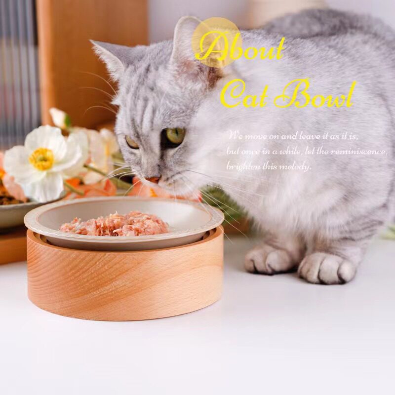 矮脚短腿猫专用陶瓷罐头碗猫碗增高架猫餐桌bd酷彩餐前盘实木碗托