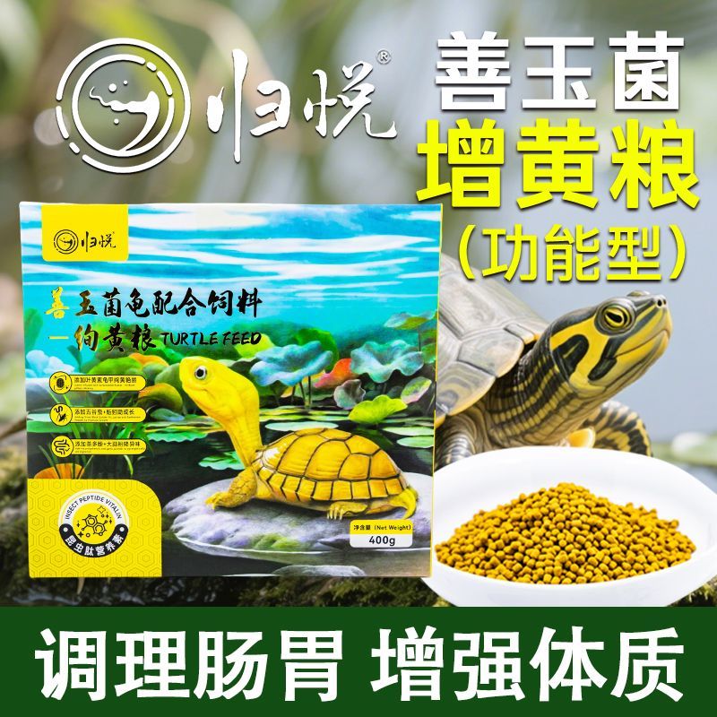 归悦绚黄善玉菌龟粮小青黄喉头盔黄泽蛋龟增黄发色调理肠胃饲料