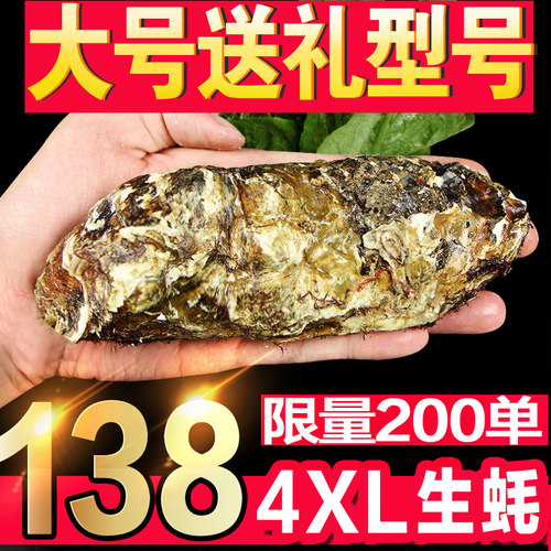 鲜活正宗补锌顺丰10斤乳山生蚝