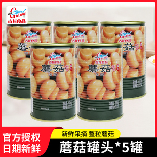 古龙蘑菇罐头425g 5罐菌菇火锅披萨烘焙沙拉奶油汤原料炒菜速食