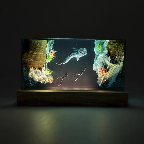 海底世界景观溶洞鲸鲨鱼情侣潜水员探险小夜灯床头灯氛围灯摆件