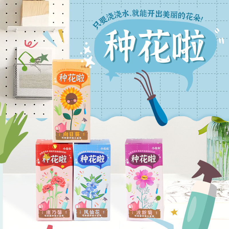 儿童小学生植物种植小盆栽幼儿园小朋友趣味种花种子生长观察套装