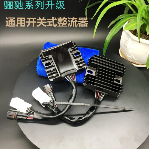 铃木骊驰跑车DL250GSX250R整流器