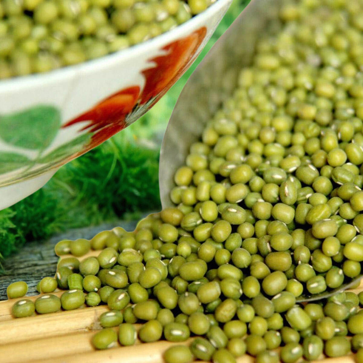 自种粗粮500g包邮绿豆