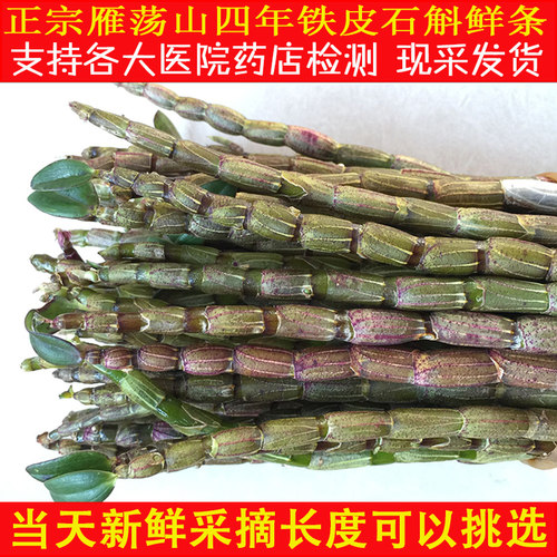 正宗乐清雁荡山鲜条笙铁皮石斛