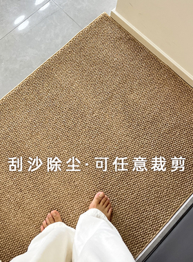 2026新款入户地垫简约高级门口脚垫玄关防滑仿剑麻防猫抓脚垫裁剪