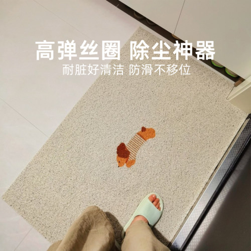 纯色极简风入户门地垫丝圈地垫