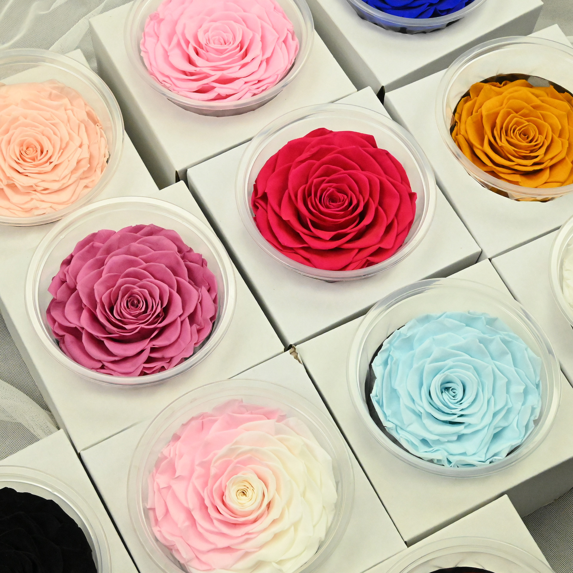 永生花网红抖音巨型超大玫瑰花材diy材料包礼盒保鲜花9-10cm