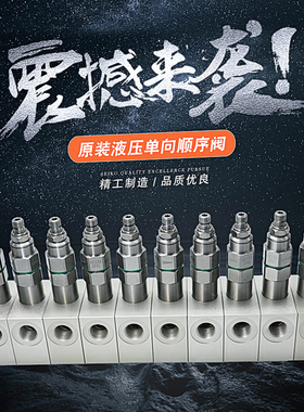 全新液压螺纹式插装阀组 原装进口SC13A20AL单向顺序阀 现货供应