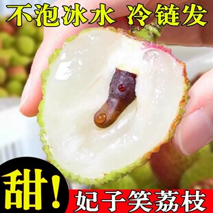 妃子笑荔枝产地茂名肉厚核小汁多荔枝新鲜现摘现发妃子笑大果包邮