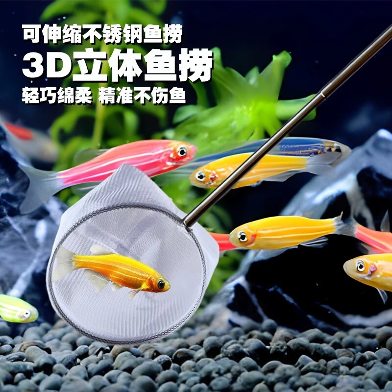 渔捞抄网兜密网热带观赏鱼捞鱼网