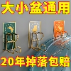 主图