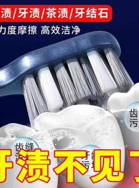 牙刷中硬毛高档男士专用去烟渍牙黄清洁口腔成人情侣牙刷家庭装