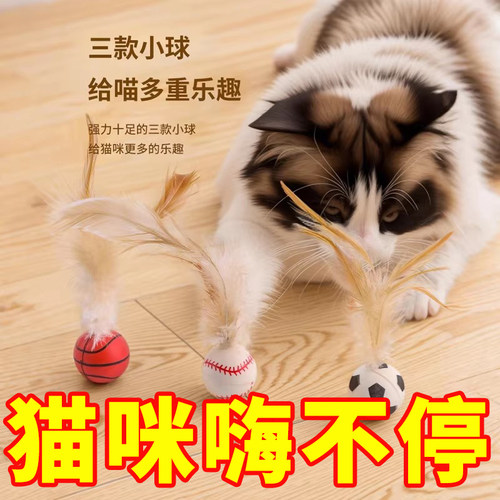 发泄神器耐咬磨牙球逗猫棒玩具