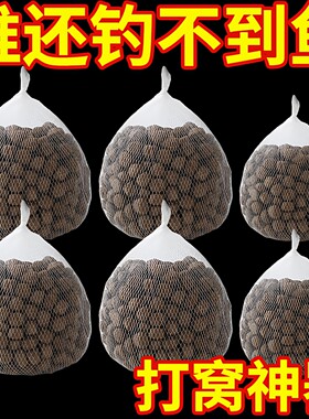 打窝神器户外钓鱼定点打窝网袋远投玉米颗粒打窝袋抛饵器弹力大网