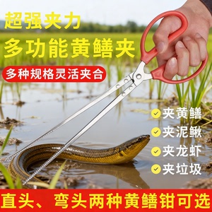 不锈钢黄鳝夹子鳝鱼泥鳅螃蟹钳子防滑脱控鱼器多功能专用赶海神器