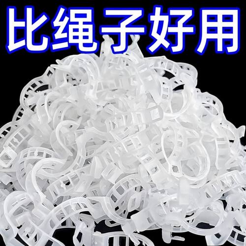 绿植果树植物固定夹卡扣藤蔓固定器秧苗爬藤支撑杆果蔬秧苗吊秧夹