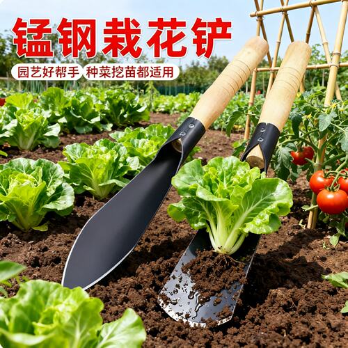 种花菜小铲子挖野菜锰钢户外挖土神器工具园艺家用种菜适用铲赶海