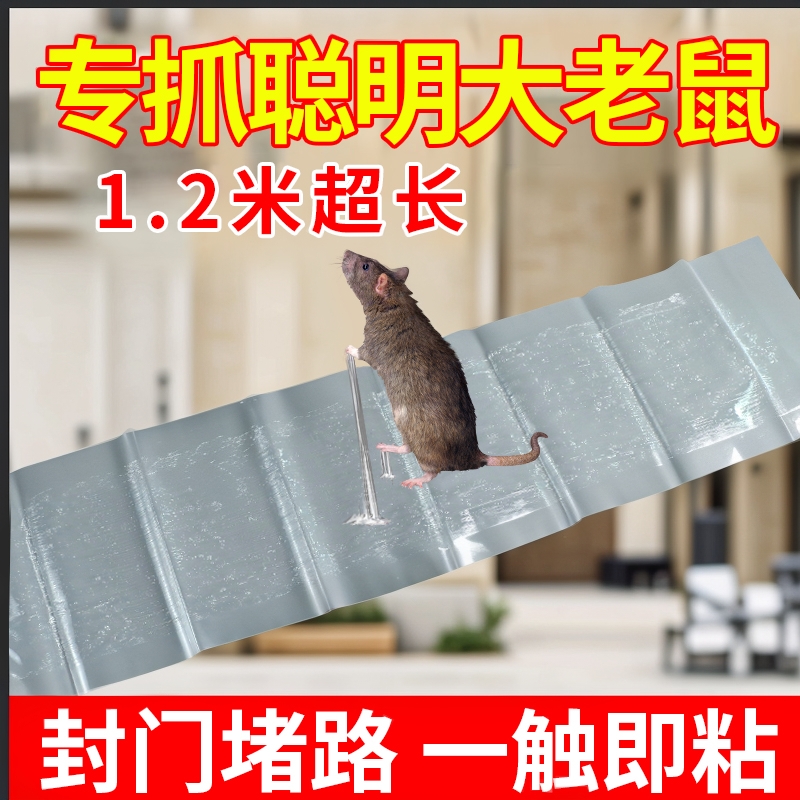 强力粘鼠板抓粘大老鼠贴胶捕鼠老鼠神器克星家用大号灭黏沾鼠
