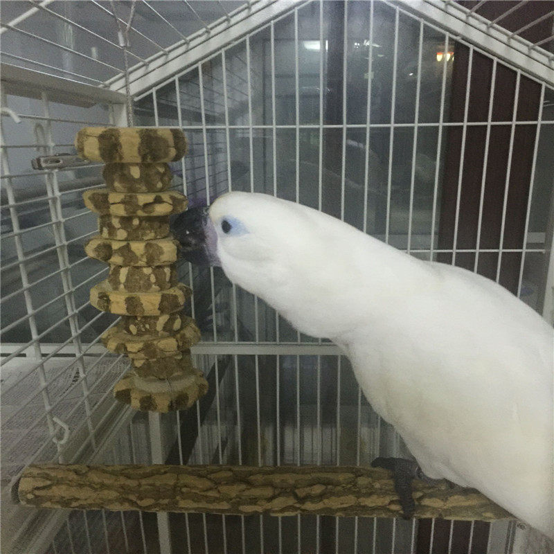 啃咬玩具玩具花椒木鹦鹉